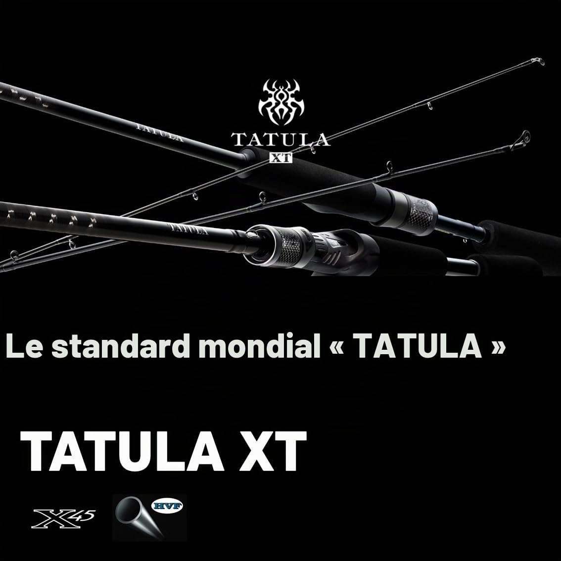 Daiwa Tatula XT Moulin à appâts 2,08 m 11-42 g - Cane à pêche - Casting - Perche, Brochet, Sandre - Extra Fast - Fibre de carbone - EVA