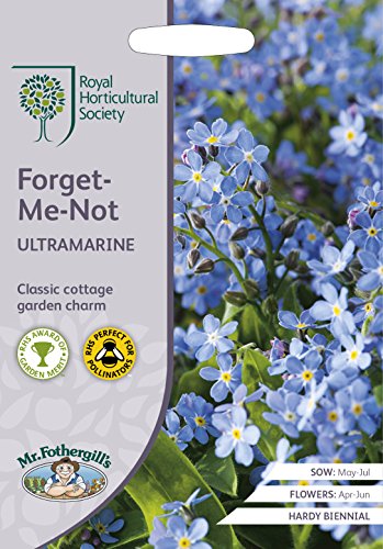 Mr Fothergills - RHS Forget-Me-Not Ultramarine Blue
