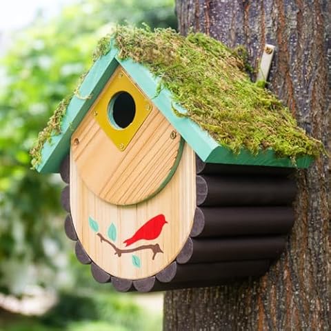 CEDAR ALPHA 2in1 XL Bluebird Birdhouse Cover