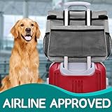 SIRMEDAL Hund Reisetasche Großes Haustier Reiseset für Lieferungen Beinhaltet 2 zusammenklappbare Hundeschalen 2 TravelFood Container Hund Reiseset für EIN Wochenende Weg Set