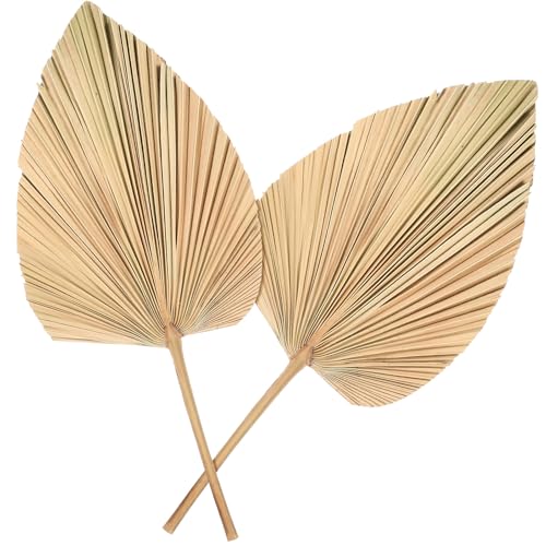 Alipis 2piezas Palma Secas para Decoración Palma Tropicales para Adornos De Jarrones y Escenarios De Bodas
