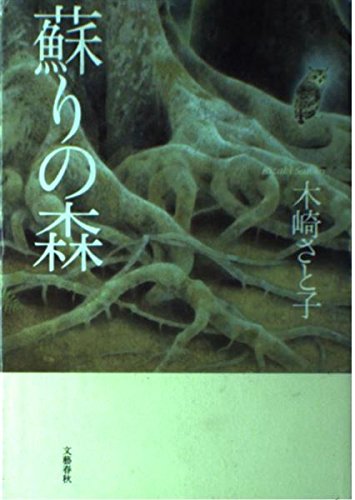 緋の城 木崎さと子著 Amazon.co.jp: 木崎 さと子: 本、バイオグラフィー、最新アップデート