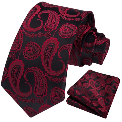 Image of HISDERN Ties for Men Paisley Tie and Pocket Square Woven Classic Floral Mens Ties Handkerchief Set Wedding Party Necktie
