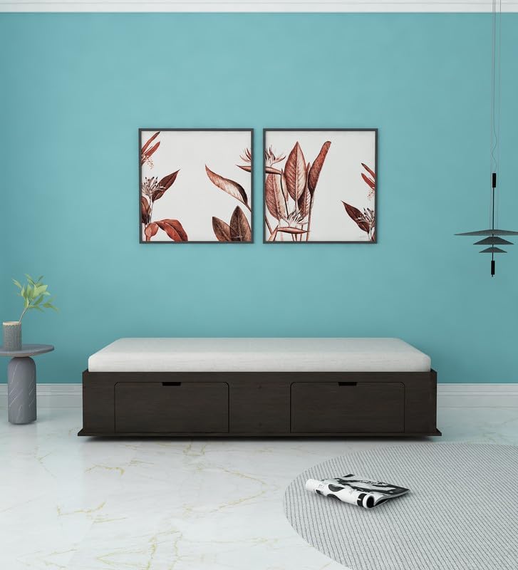 Image of Gusto Multipurpose Diwan Single Bed with Storage | Engineered Wood Box Bed | Dark Wenge Finish | Space-Saving & Sturdy | Easy Knock-Down Assembly