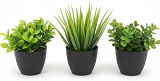 Üçlü Mini Yapay Sukulent Seti – 8 cm Saksı, Dekoratif Küçük Bitki Seti, Gerçekçi Görünüm, Salon Ofis Ev Masa Üstü Süs Bitk...