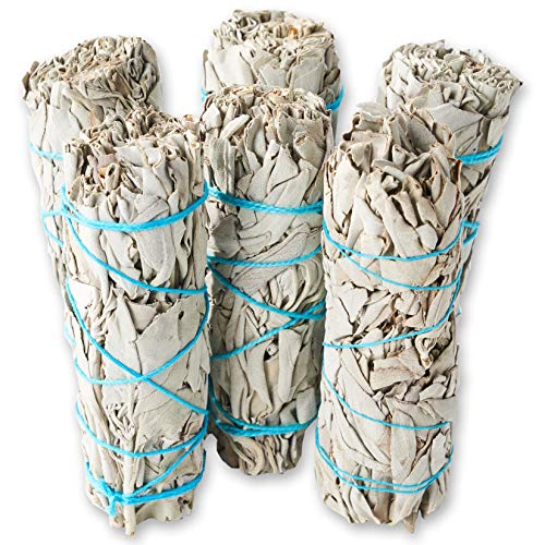 Sálvia branca ~ Bastões de mancha de sálvia para mancha e limpeza de energia (pacote com 6)