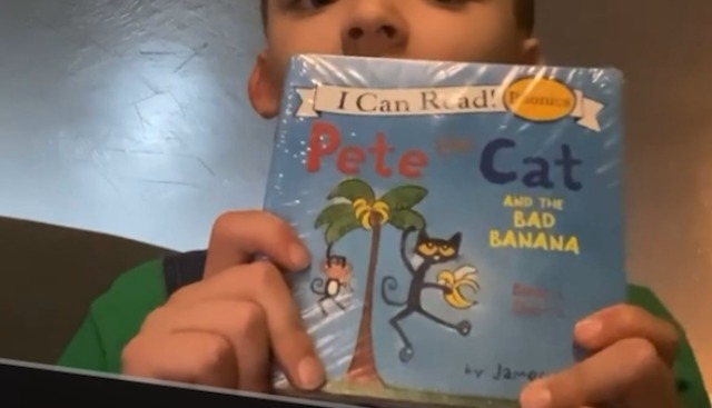 Pete the Cat Childrens Books Box Set I Can Read Phonics Learn to