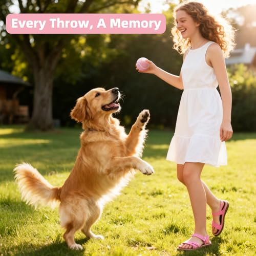 Image of Sunraymascota 6-Pack Tennis Balls for Dogs Fetch Toys,for Beginner Practice