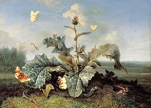 Cuadro de lienzo de Otto Marseus para decorar paredes de dormitorios elegantes en casa