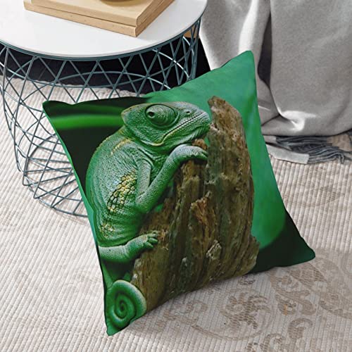 Radda Green Lizard Print Throw Pillow Covers,Decorative Soft Corduroy Cushion Covers For Living Room Bedroom Couch Bed Sofa #TOP5