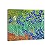 Wieco Art Irises Modern Stretched and Framed Floral Giclee Canvas Print by Van Gogh Famous Flowers Oil Paintings Reproduction Artwork Pictures on Canvas Wall Art for Bedroom Home Decorations