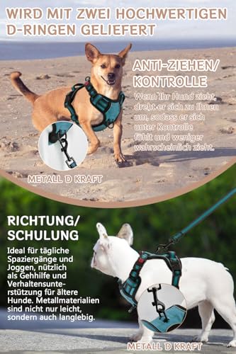 BaoCheng Hundegeschirr Anti Zug Hundegürtel,Kleine/mittlere/große Hunde,Atmungsaktives Mesh, Einfaches Be-und Entladen,3 Schnallen, Sicherheit,Entlastet Husten,Reflektierend(Dunkelgrün,M)