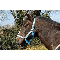 Rhinegold (Metal Free) Field Safe Foal Headcollar 4 Colours May