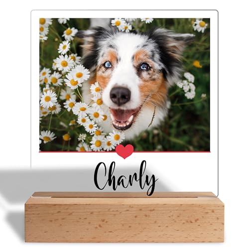 True Statements Personalisiertes Foto Geschenk für Hundebesitzer: Acrylaufsteller mit eigenem Bild, Geschenke für Hundeliebhaber Haustiere- Acrylglas inkl. Holzsockel - 15x18 cm (Herzlinie)