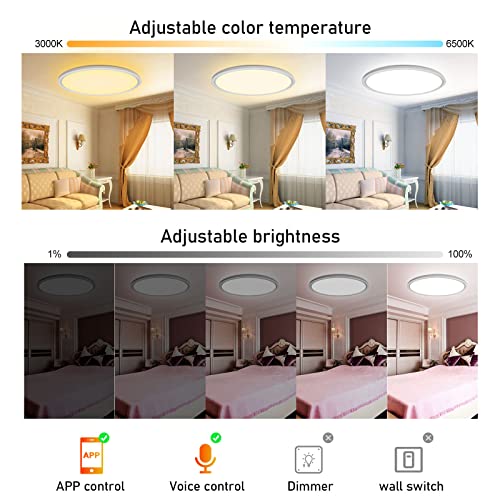 Aphyni Aijia Rgb Smart Ceiling Light - 24W 12Inch Ultra Thin Flush Mount Ceiling Light Compatible With Alexa Google Assistant Modern,Led, 3000-6500K For Living Room #TOP1