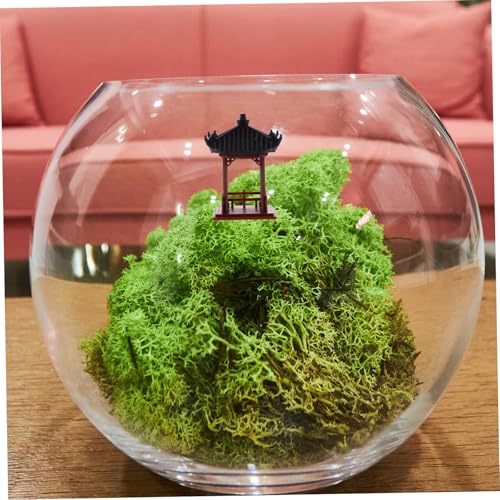 Pavillon miniature pour aquarium et plantes succulentes durables - 6