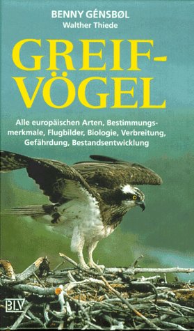 Greifvögel Greifvögel