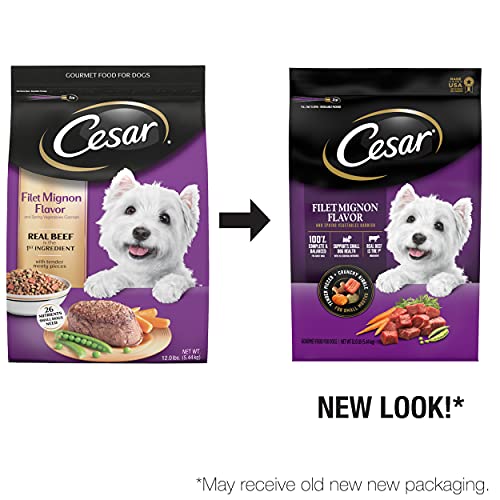 CESAR Small Breed Adult Dry Dog Food Filet Mignon Flavor with Spring Vegetables Garnish Dog