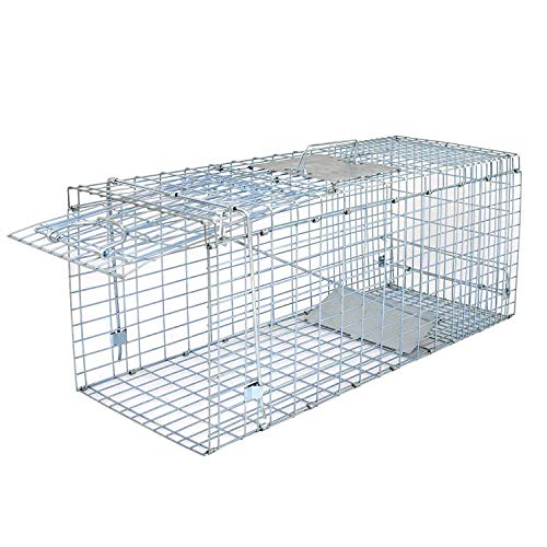 JungleA Animal Trap Cage, 24 Inches Foldable Live Catch Cage with 1-Iron Door, Humane Catch & Release Rodent Small Animal Trap for Raccoons, Stray Cats, Groundhogs, Opossums, Squirrel