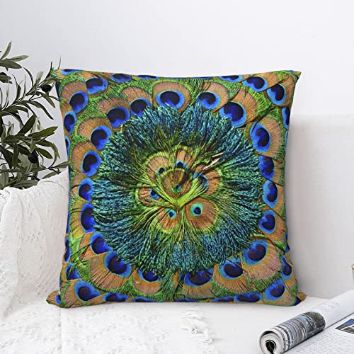 Throw Pillow Covers Teal Peacock Watercolor Blue Teal Vintage Peacock Cushion Pillowcase Sofa Square Print18 X18 #TOP16
