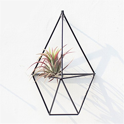 ZSL Soporte para Plantas de Aire Colgantes, 2 cestas Colgantes para macetas, Soporte de Bronce con Marco Hueco, Maceta sin Suelo para Plantas de Tillandsia, Hierro, Negro, Style_B