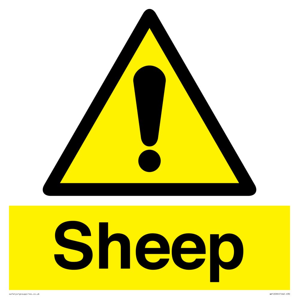 Sheep Sign - 300x300mm - S30, Yellow/White