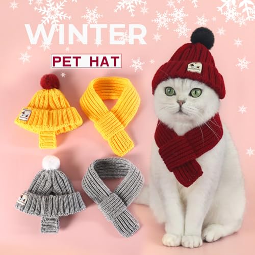 Conjunto de Sombrero y Bufanda para Perro Tejido miniatura 2