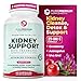 Premium Kidney Support Supplement by PurePremium (Kidney Cleanse Supplement) Potent Herbal Ingredients for Urinary Tract and Bladder Health - Cranberry Extract, Astragalus and Uva Ursi Leaf - 60 Caps