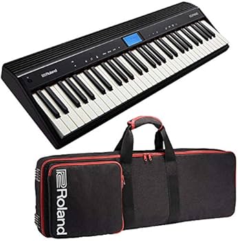 鍵盤楽器 Roland GO:PIANO GO-61P Roland GO：PIANO GO-61P 61鍵盤GO61P GOPIANO ローランド