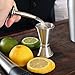 Professional Liquor Pourers Set of 2 by Barvivo - Classic Free Flow Bartender Bottle Pourer w/Tapered Spout, Fits Alcohol Bottles up to 1l. - Best for Pouring Wine, Spirits, Syrup and Olive Oil.