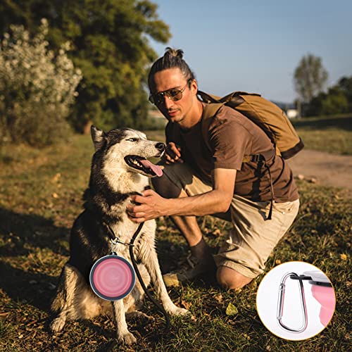2 Stück Faltbare Reisenäpfe,Haustier Hundenapf mit Deckel und Haken Tragbare Silikon Trinkschale für Katzen,Hunde Reise Wanderungen and Camping (Blau und Rosa, groß)