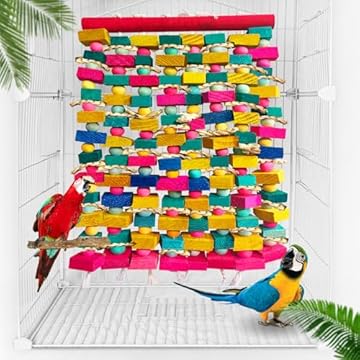Durable Bird Toys for Large Parrots That Will Surprise You 1 durable bird toys for large parrots