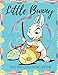 Produktbild Little Bunny - Easter Coloring Book: Color Pages For Toddlers, Preschoolers - Over 40 Giant Simple Fun Pictures Easy To Color, Perfect Easter Gift!