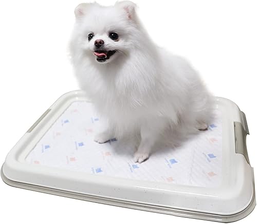 PAWISE Almohadillas de entrenamiento para cachorros de hierba falsa, entrenamiento para ir al baño, almohadilla para orinar con césped artificial