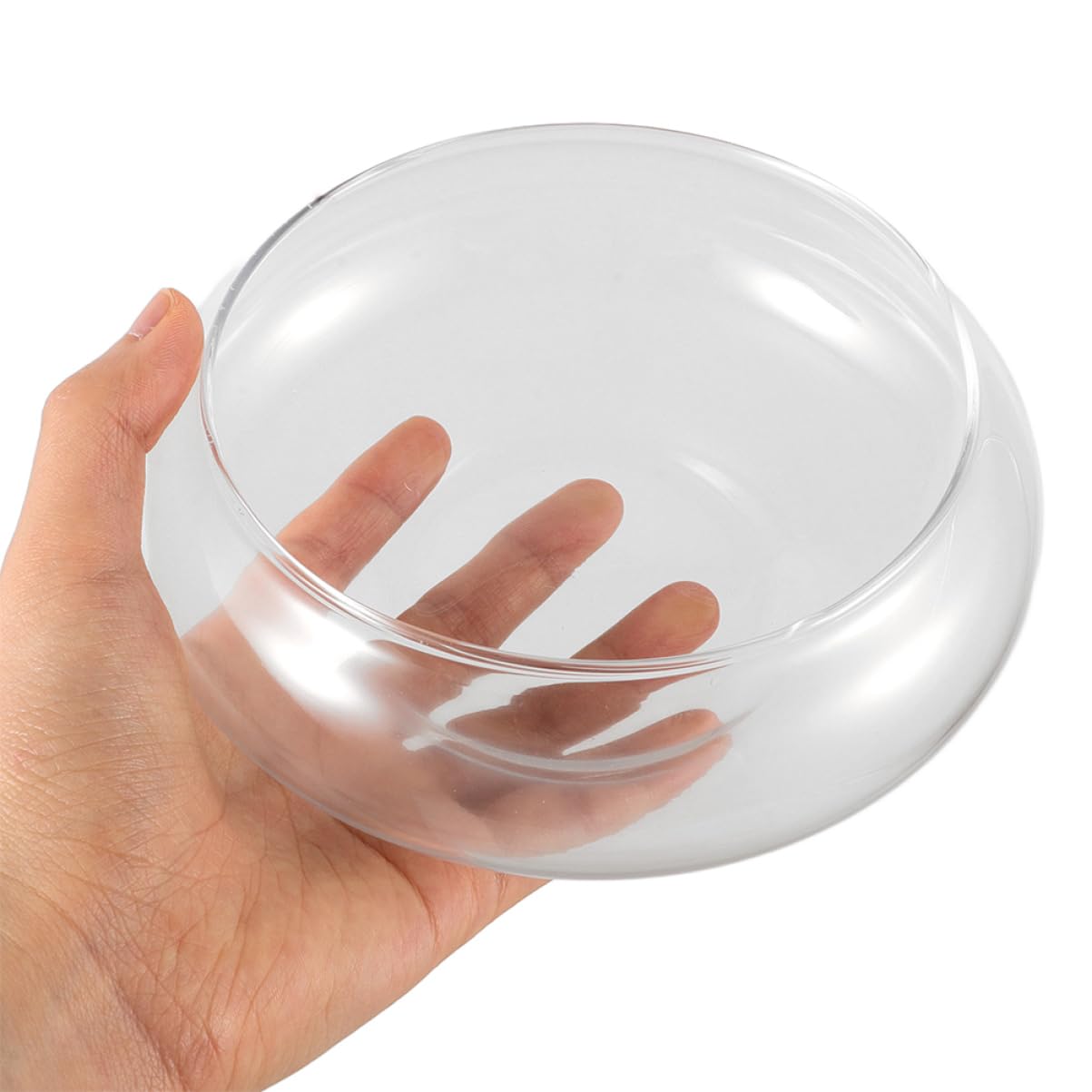 Happyyami Klare Glasvase Für Fische Und Pflanzen Runde Aquarium-vase Elegantes Terrarium Und Pflanzgefäß Für Heimdekoration Und Hochzeiten
