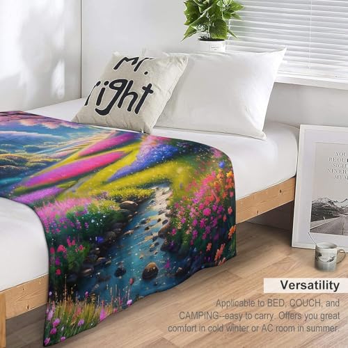 Couvertures flannel lavables grand format 180x200cm plaid lit et canapé