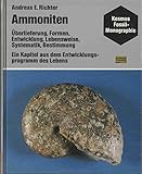  Ammoniten. (8394 750)