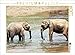 Produktbild CALVENDO Puzzle Ratnapura 1000 Teile Lege-Größe 64 x 48 cm Foto-Puzzle Bild von Diana Popp
