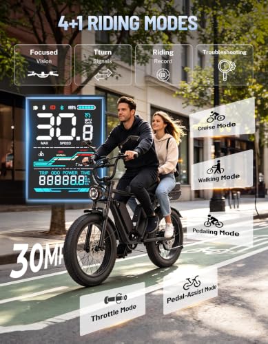 Image of Jasion RetroVolt Max Electric Bike, Dual Battery, 150-Mile Range, Fat Tire