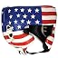 USA Flag