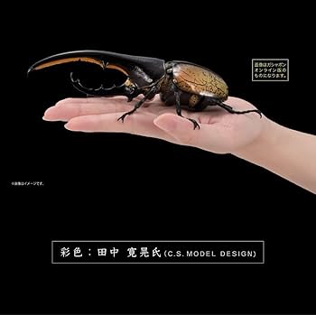 Amazon.co.jp: ヘラクレスヘラクレス いきもの大図鑑アドバンス