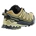 Salomon Men's XA Pro 3D V9 Gore-TEX Sneaker, Dried Herb/Black/Olive Night, 9