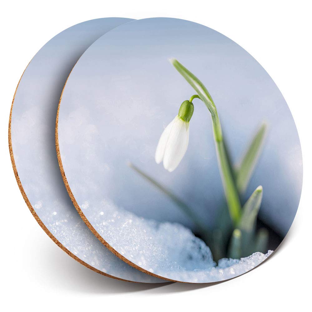 Destination Vinyl Ltd Multicolor 2 X Round Coasters - Pretty Snowdrop Flower Fun - Cork Backed Home Kitchen Accessory Tea Coffee Mug Mat #2063