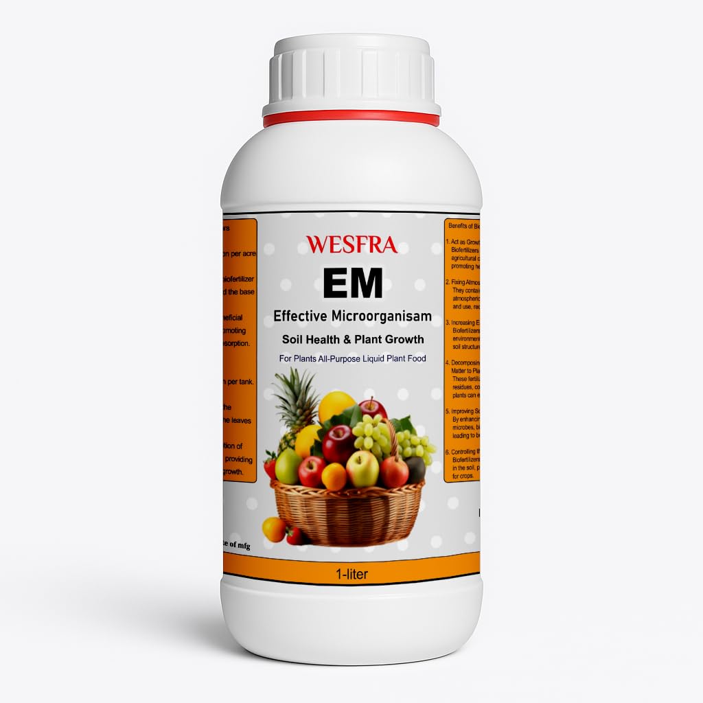 EM Effective Microorganism 20:20:20 Liquid Fertilizer | 1 Liter - Organic Soil Enhancer, Boosts Plant Growth, for Fruits, Vegetables, and Flowers-image-10