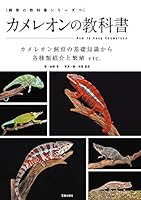 【動画】カメレオンの赤ちゃん、害虫駆除を手伝う