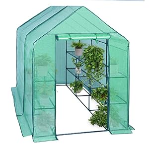 WOLTU Foliekas, tomatenkas, broeikas, kweekhuis, tuinhuis, broeibed, tomatenkas, groenten, broeikas, overwinteringstent voor planten, groen, 143 x 215 x 195 cm