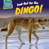 Look Out for the Dingo! 1499409389 Book Cover