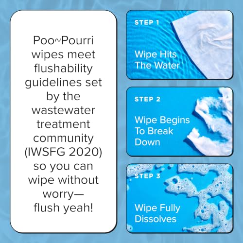 Image of Poo~Pourri Unscented Flushable Wipes - Made with Plant Based Fibers, Aloe, Vitamin E, Chamomile, and Oat Extract - Adult Wet Wipes - 150 count - Septic & Sewer Safe - Fragrance Free Packaging May Vary