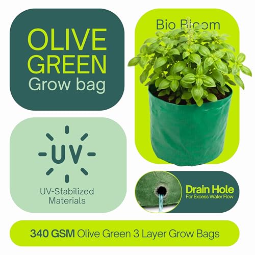Image of Bio Blooms Round HDPE Plant Grow Bag for Terrace & Kitchen Gardening| Pack of 10| 12x12|200 GSM Heavy Duty Outdoor Grow Bag | Durable Planter for Vegetables, Flowers & Plants (Green & Orange)