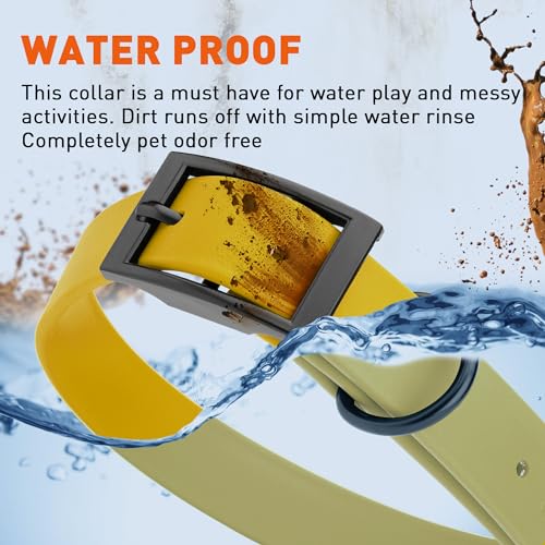Image of Dogline Biothane Waterproof Dog Collar Strong Coated Nylon Webbing with Black Hardware Odor- Proof for Easy Care Easy to Clean High Performance Fits Small Medium or Large Dogs, Treasure Gold
